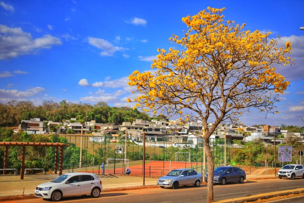 parque linear goiânia 1