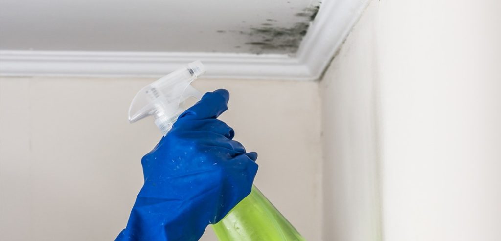 Sua casa pode estar correndo riscos com esses 6 objetos perigosos que são focos de doença