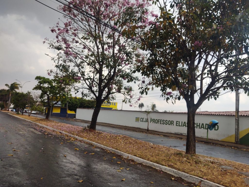chuva em anápolis 2