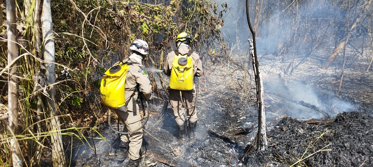 Corpo de Bombeiros se mobiliza para combater incêndio às margens do João Leite