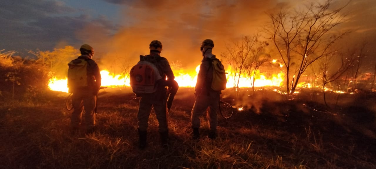 Queimada só foi controlada na madrugada. (Foto: Divulgação/Corpo de Bombeiros)