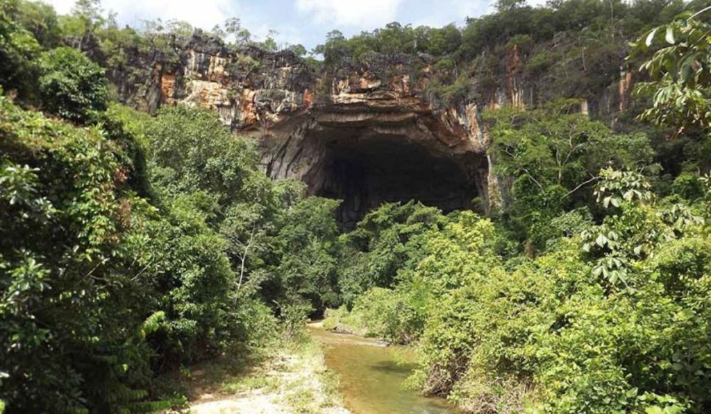 O que é proibido nos parques e reservas ecológicas de Goiás