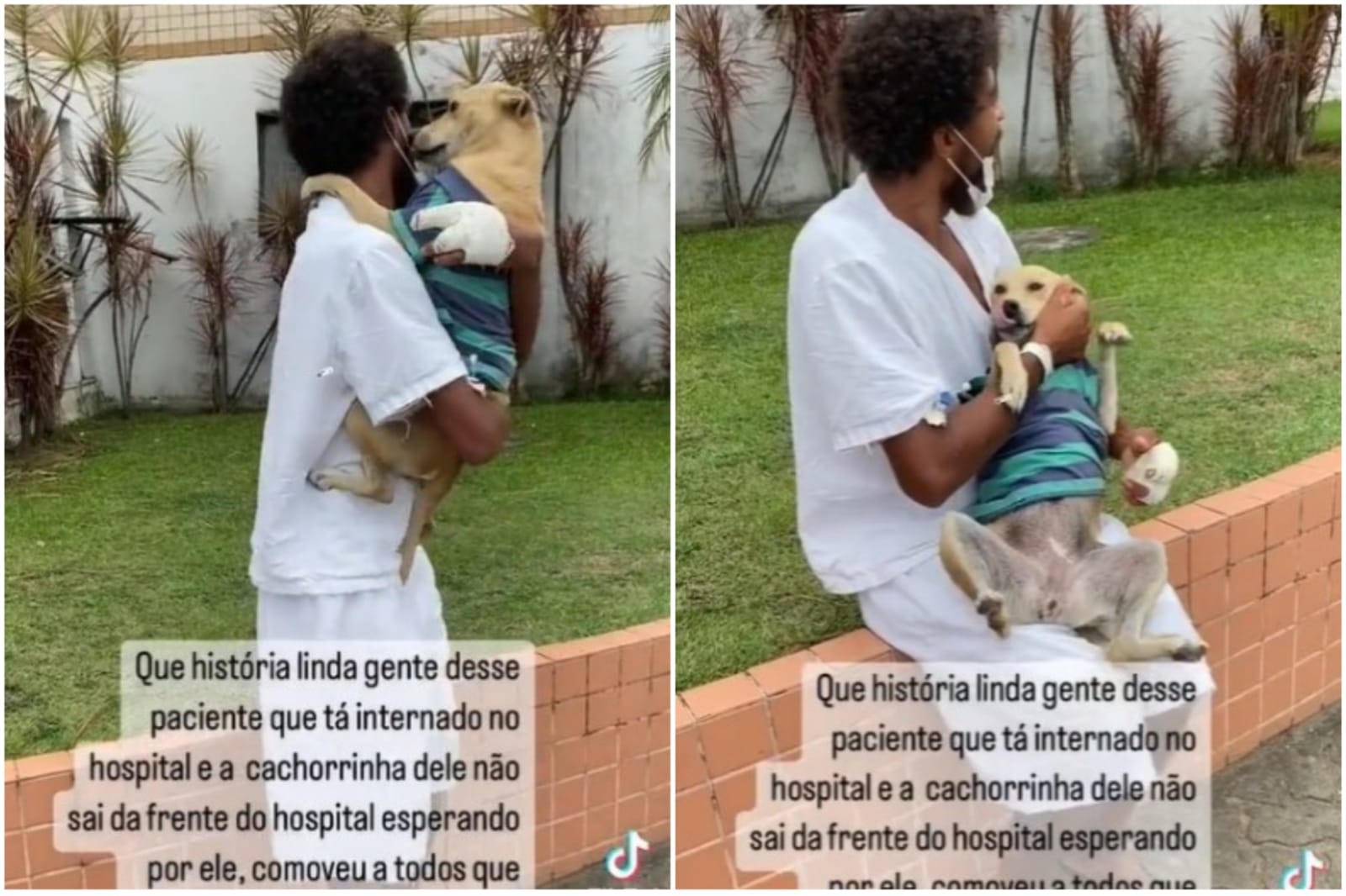 Vídeo emocionante mostra cachorrinha que esperava o dono na porta de hospital reencontrando ele