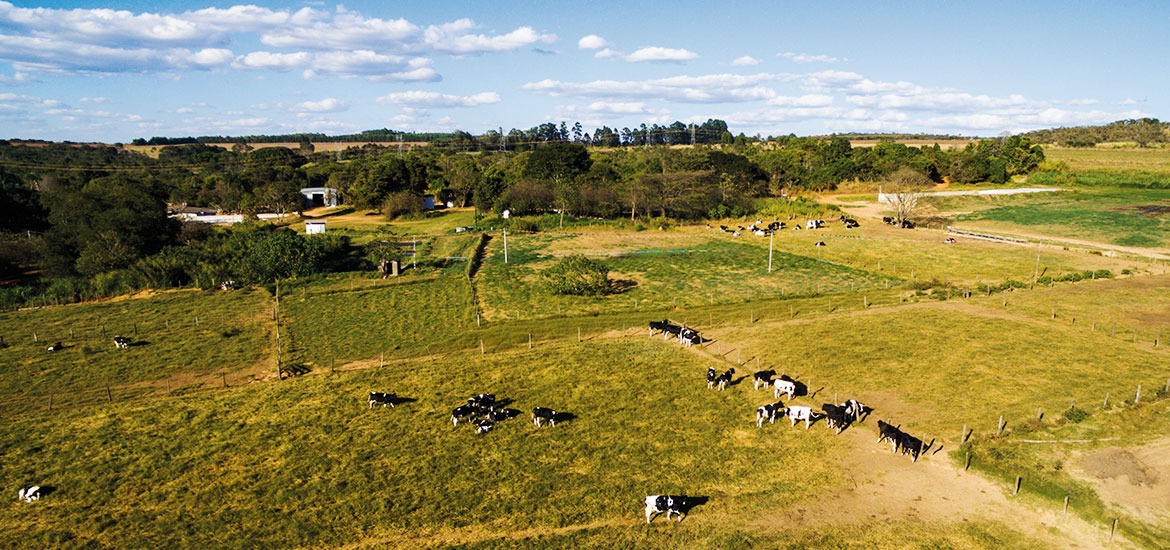 Fazenda Jerivá é escolhida para representar o Brasil. (Foto: Divulgação).