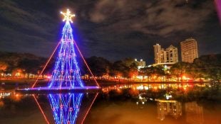 Mulher fica indignada após atitude da sogra durante os preparativos para o Natal