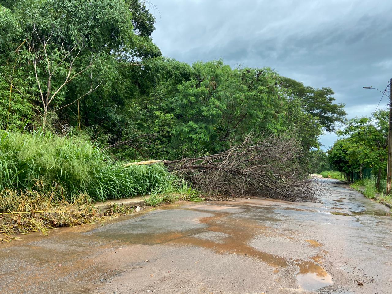 Defesa Civil aponta pontos mais afetados durante a tempestade em Anápolis