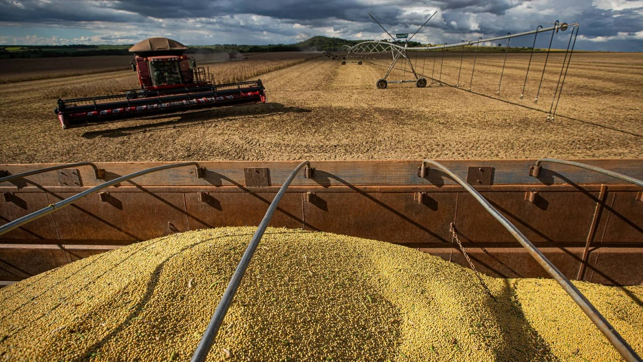 Levantamento inédito aponta gargalos que travam agronegócio em Goiás