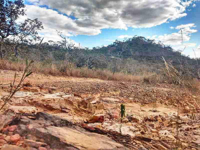 Adolescente de 13 anos é levada para o mato e é abusada, em Aparecida de Goiânia