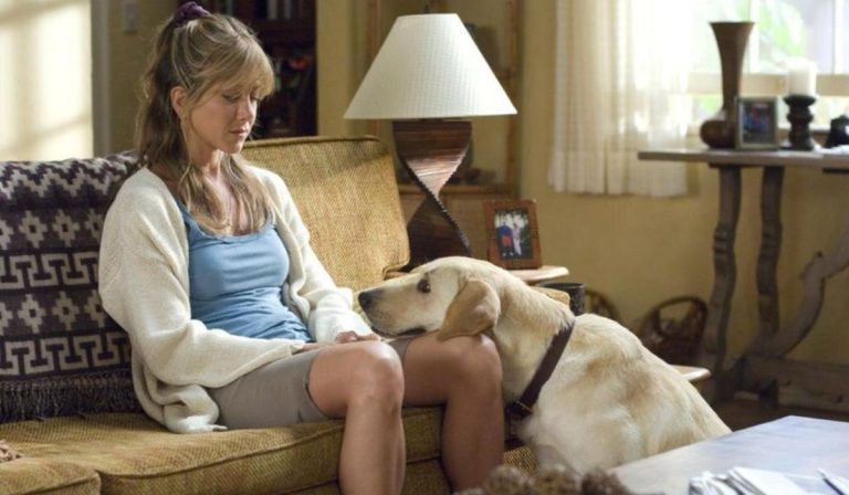 6 sinais que revelam se seu cachorro é o melhor amigo que você poderia ter
