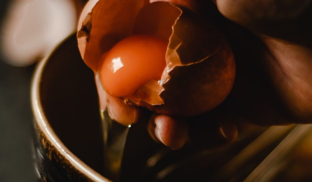 É esta a maneira de saber se um ovo está estragado mesmo sem abri-lo