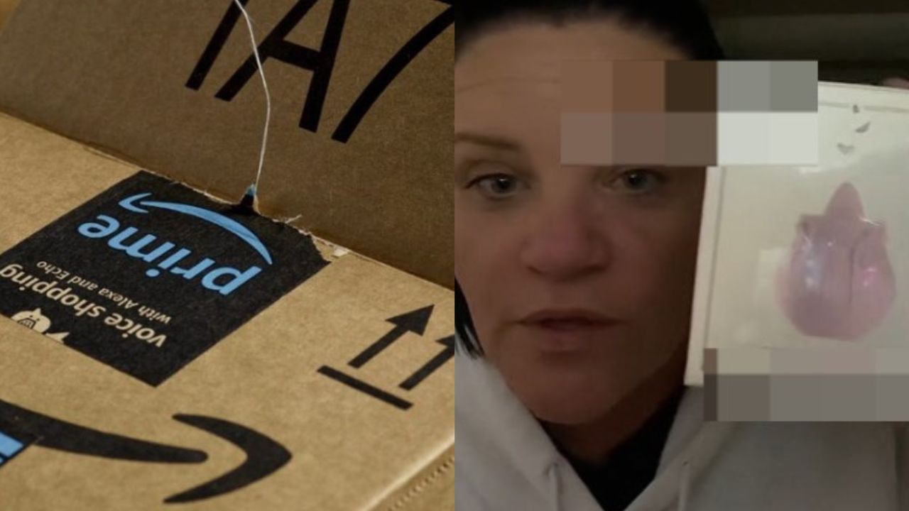 Mulher que fez pedido na Amazon fica totalmente sem reação após o pacote chegar e a avó dela ver o que tinha dentro