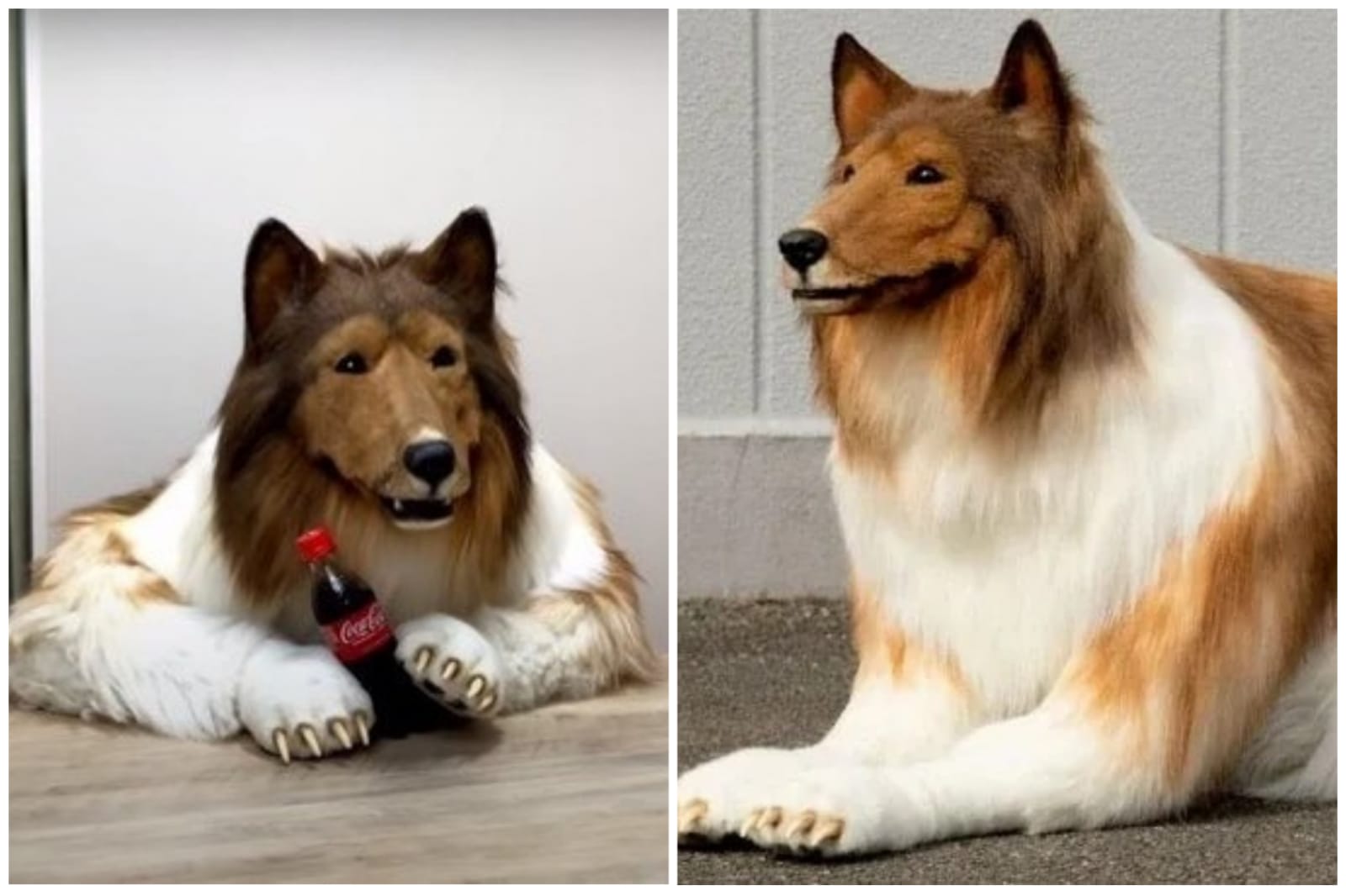 Famoso Por Ter Se Transformado Em Cachorro Homem Revela Qual O Maior Medo Que Tem Portal