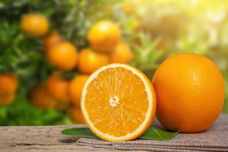 Conheça os benefícios que chupar laranja traz para saúde