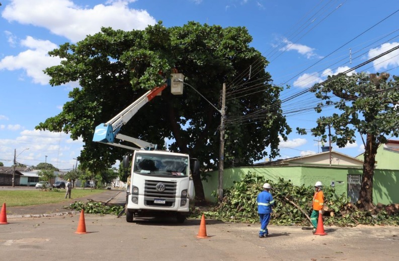 Poda de árvore em Goiânia. (Foto: Prefeitura de Goiânia)