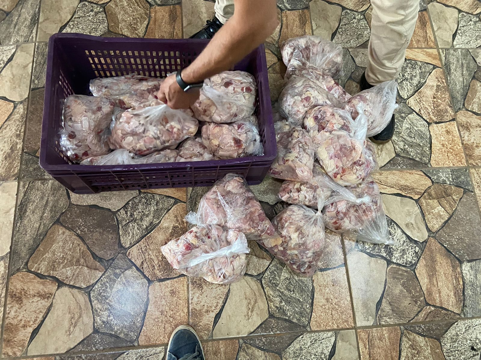 PC desmancha abatedouro clandestino que fornecia carne de cavalo para  restaurantes e supermercados de Aparecida de Goiânia