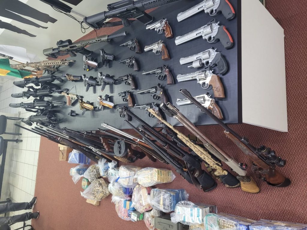 Polícia Civil apreende arsenal de armas de fogo e munições avaliado em mais de R$ 700 mil em Goiás