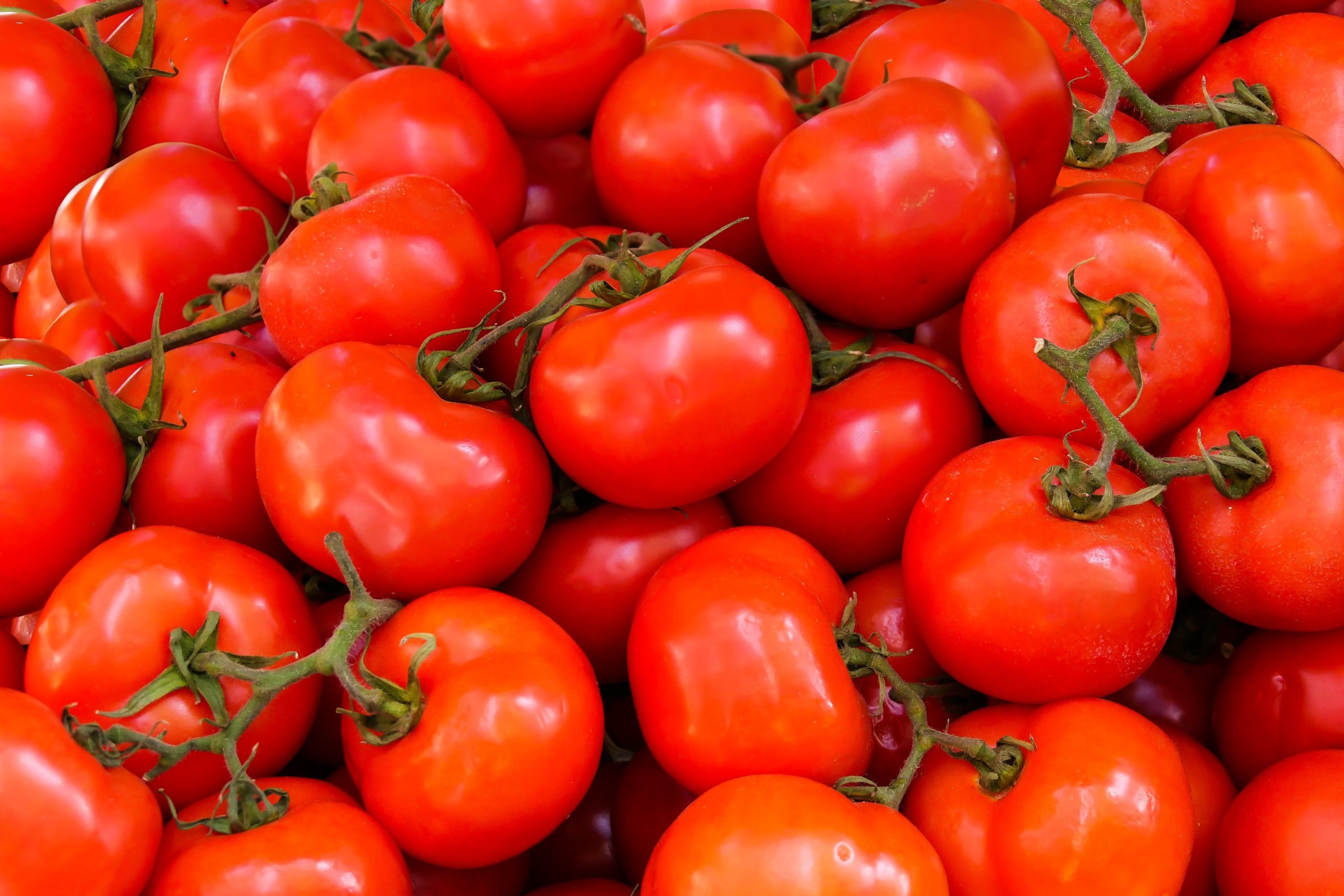 Conheça o antioxidante natural que faz bem para o coração e ajuda a prevenir câncer