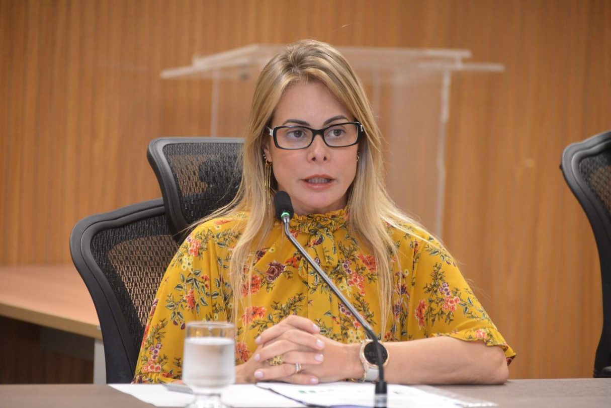 Cristiane Schmidt deixa chefia da Secretaria da Economia do Estado de Goiás. (Foto: Divulgação/ Secretaria da Economia). 