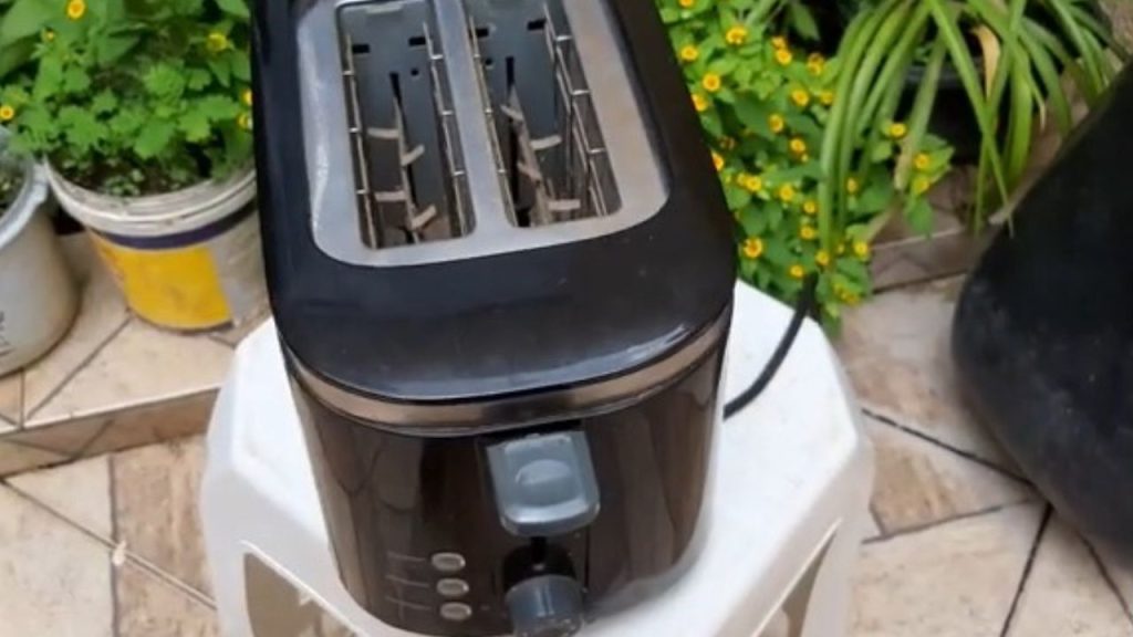 Esta é a melhor maneira de limpar a torradeira queimada e poucos sabem