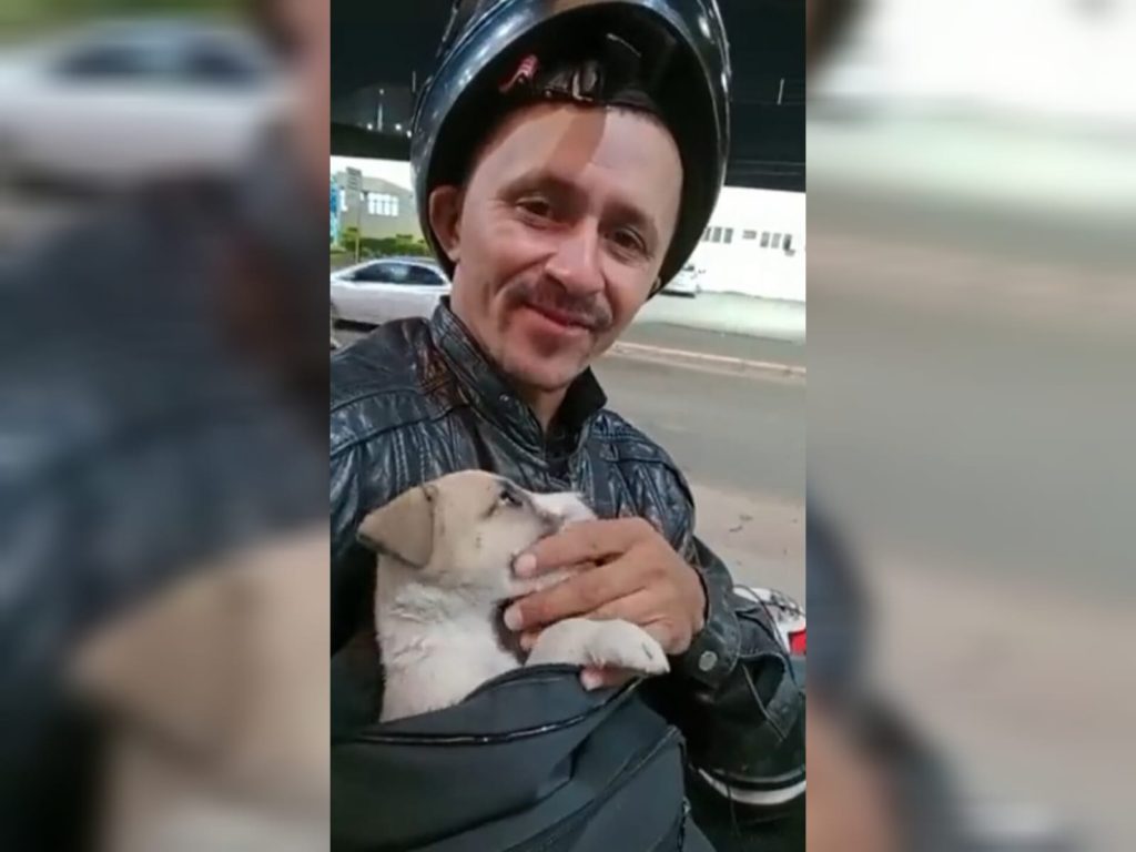 Motociclista encontra filhote na BR um dia após perder cachorrinho e adota o animal