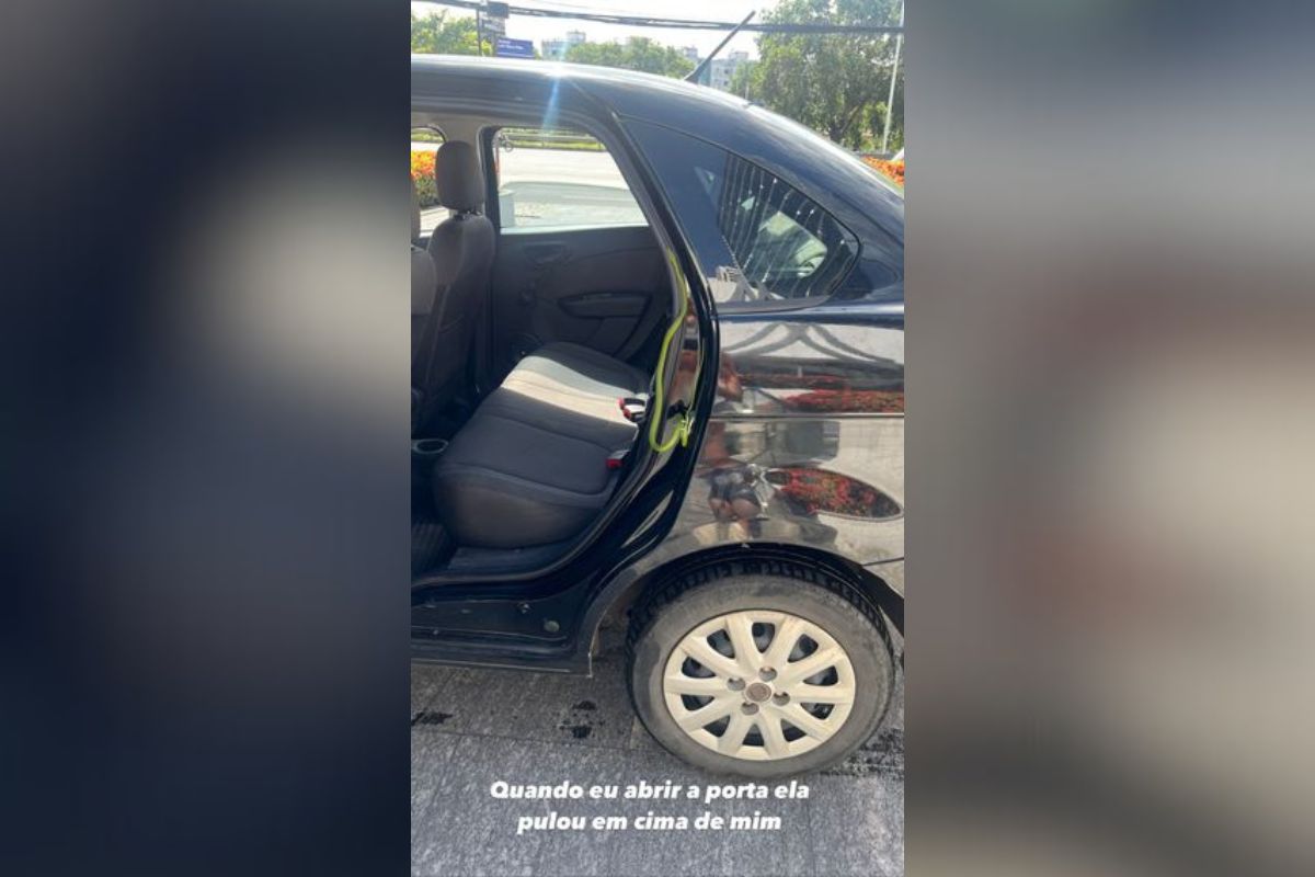 Sthefane Matos encontra cobra em carro de aplicativo