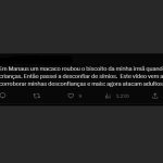 INTERNAUTAS MACACOS 2