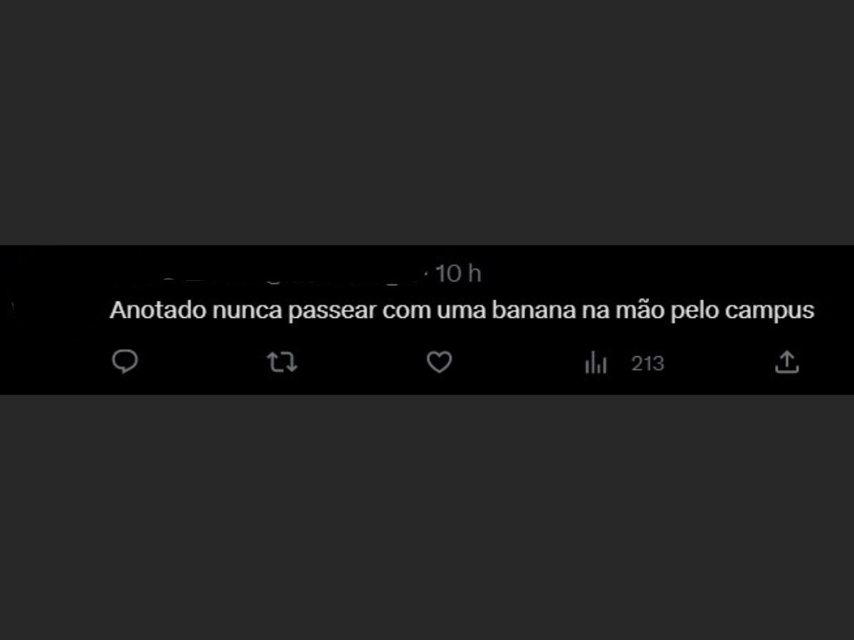 Macaco-prego participa de aula em faculdade e viraliza na web; vídeo