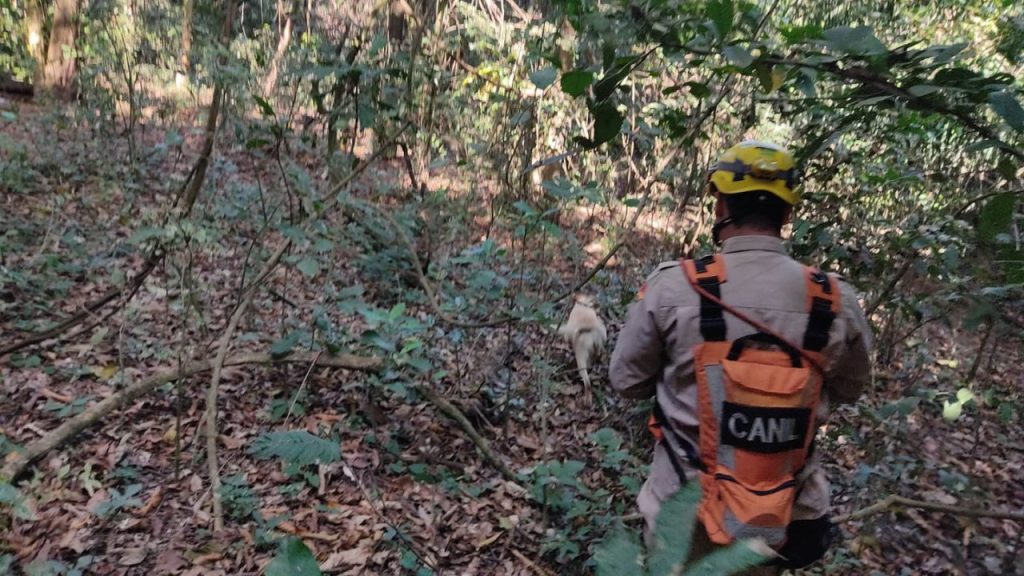 Buscas por idoso desaparecido, em Goiânia