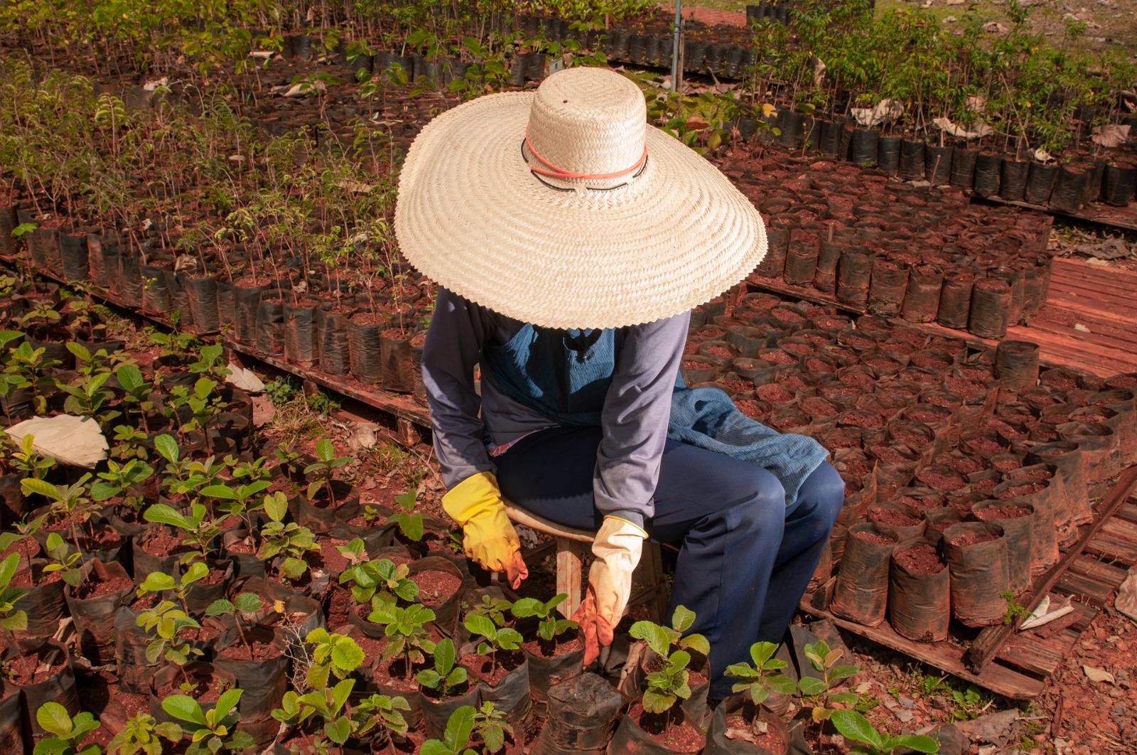 Cidade goiana é a que mais gerou emprego no agro no mês de abril em todo o país