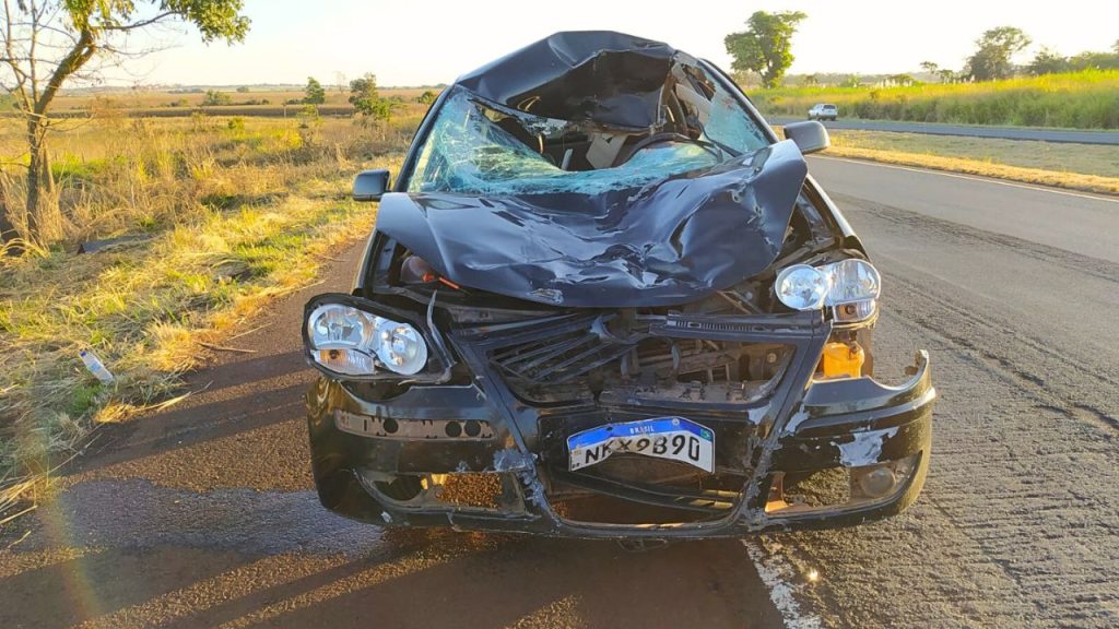 Ciclista é morta tentando atravessar a BR-060, em Goiás