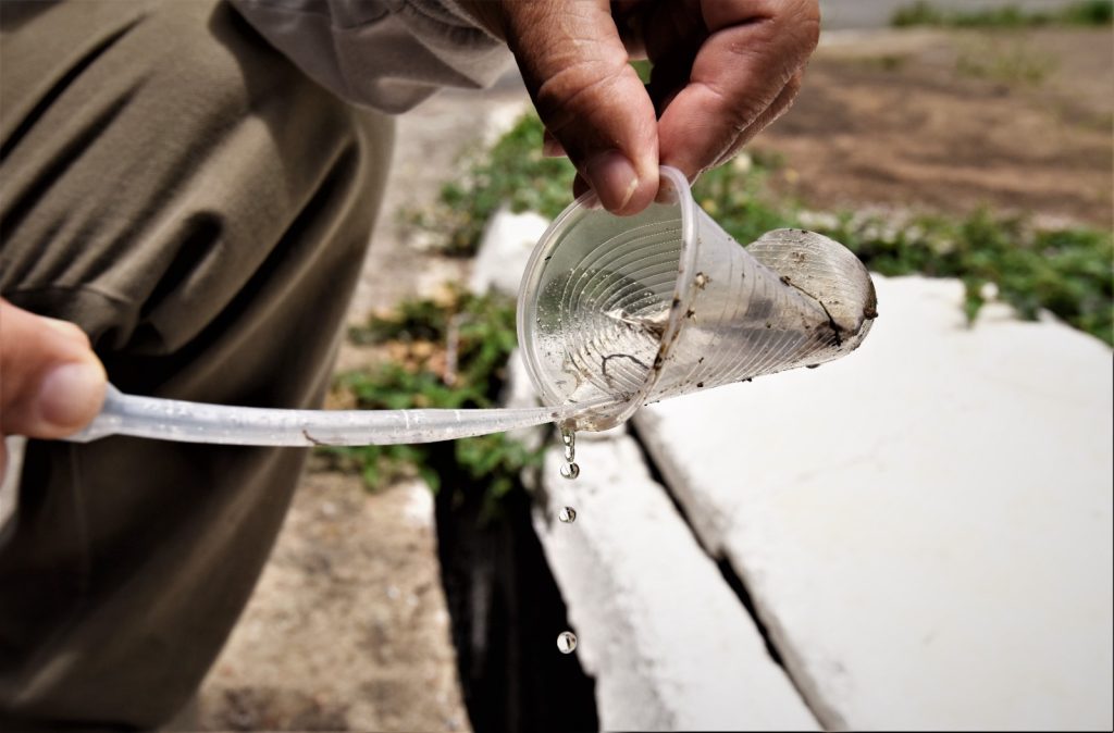 Quase 4 bilhões de pessoas correm risco de infecção pelo Aedes