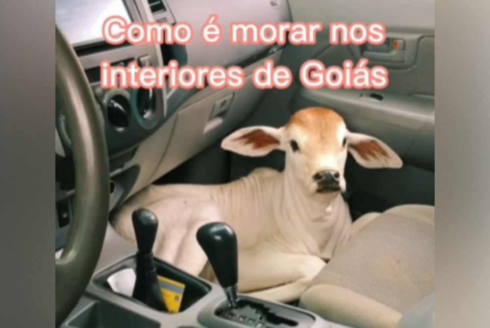 Jovem conquista a internet mostrando o que só é possível encontrar em Goiás