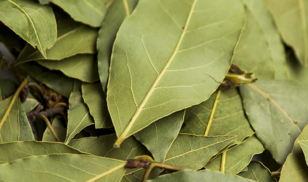 Folhas de louro com fermento em pó: como usar e para que serve