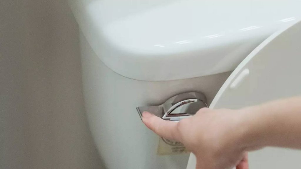 O truque para desentupir o vaso sanitário viraliza pela eficiência