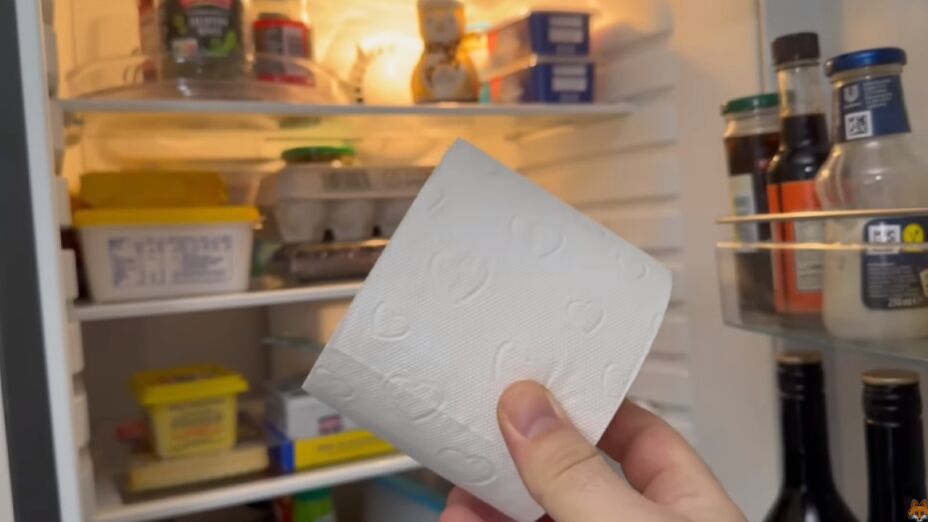 papel higiênico dentro da geladeira