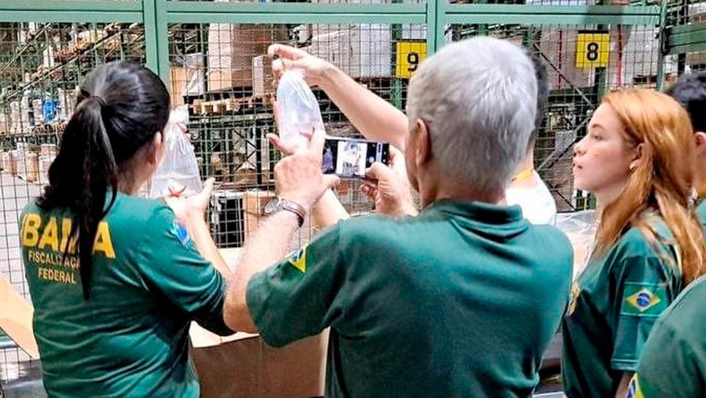 Ibama apreende partes de animais mortos no aeroporto de Guarulhos (SP)