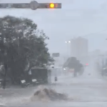 Volume foi contabilizado entre 01 e 10h e ápice aconteceu por volta das 03h