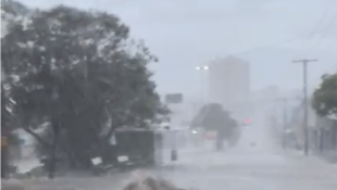 Volume foi contabilizado entre 01 e 10h e ápice aconteceu por volta das 03h