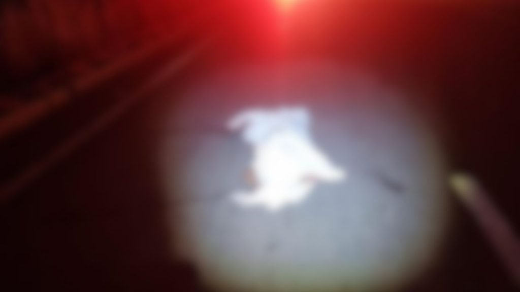 Corpo de homem é encontrado na BR-070, em Goiás.