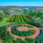 Horta e com herbário do Santerê Casa e Natureza