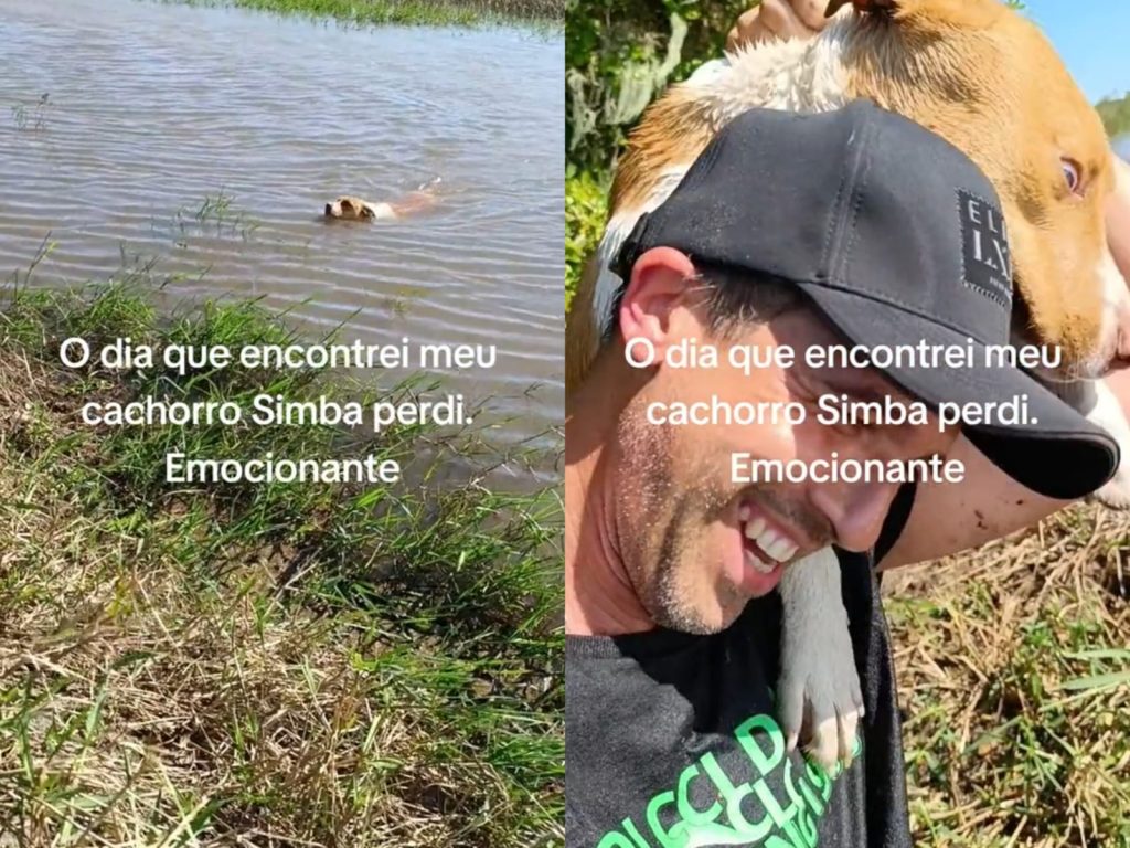 Homem emociona internet ao encontrar cachorrinho que estava perdido há três dias no rio: “meu melhor amigo”