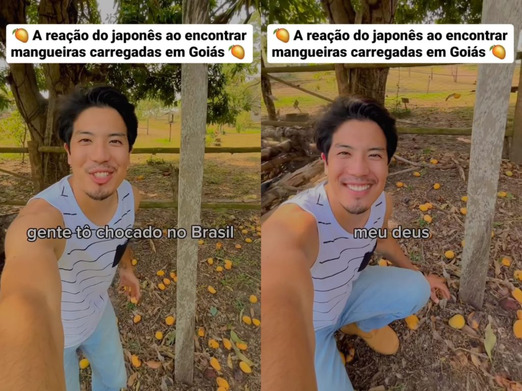 Turista japonês fica chocado com a quantidade de mangas em Goiás: “se fosse no Japão, estaria rico”