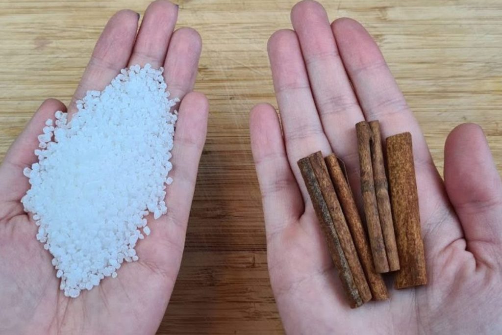 Descubra o que acontece quando você coloca 4 paus de canela no sal