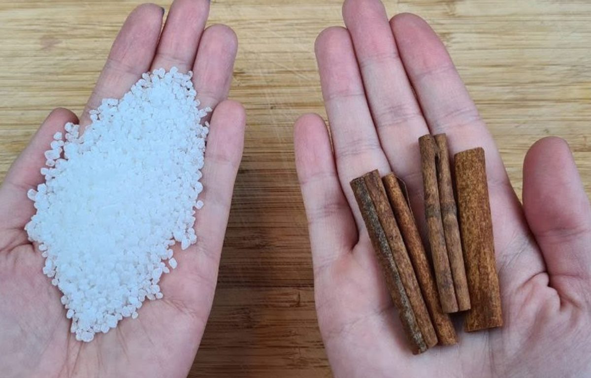 Descubra o que acontece quando você coloca 4 paus de canela no sal