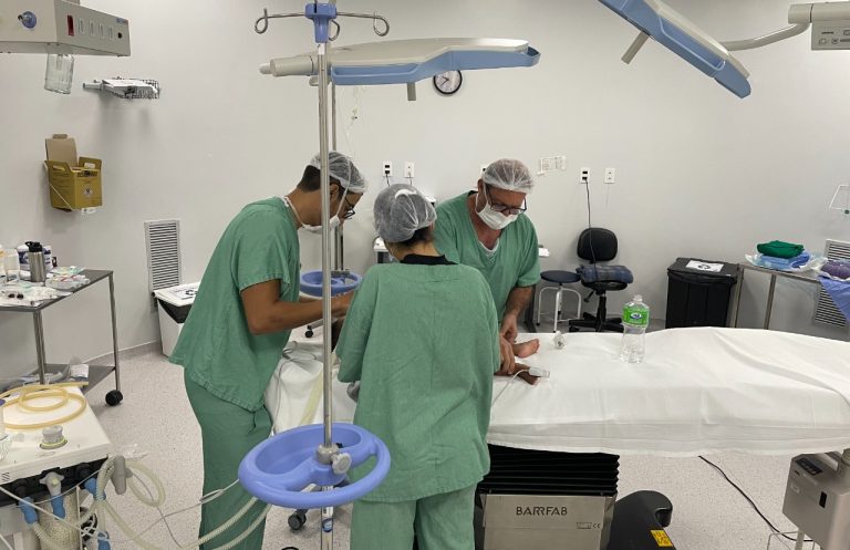 Pacientes que aguardam realização de cirurgia eletiva em Goiás receberão SMS.