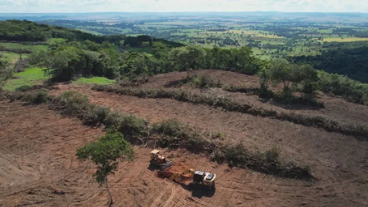 Desmatamento, em Goiás