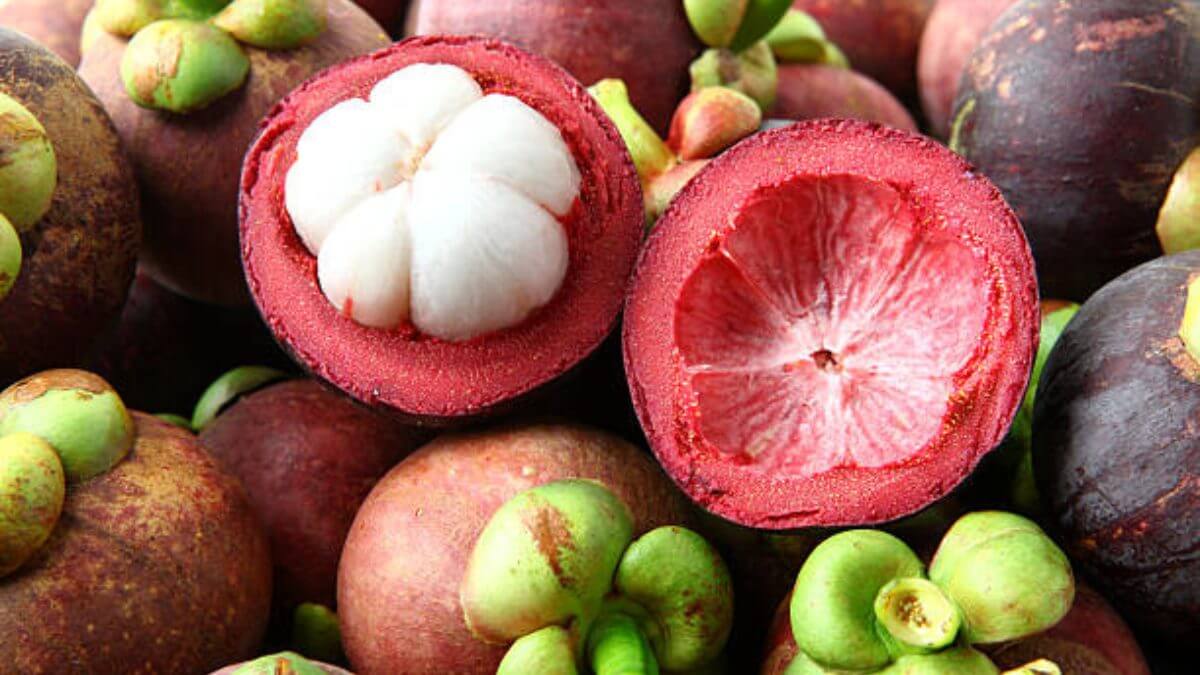 Conheça a melhor fruta do mundo que pode custar até R$ 200