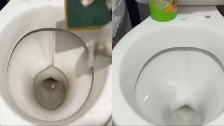 Aprenda a remover sujeira do vaso sanitário