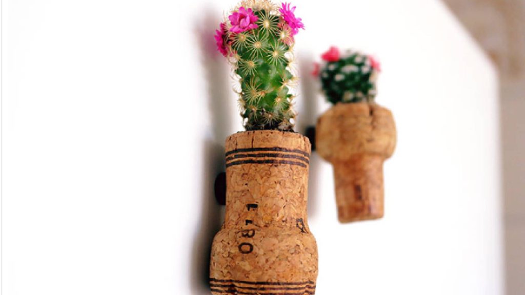 Utilidades da rolha que são pouco conhecidas