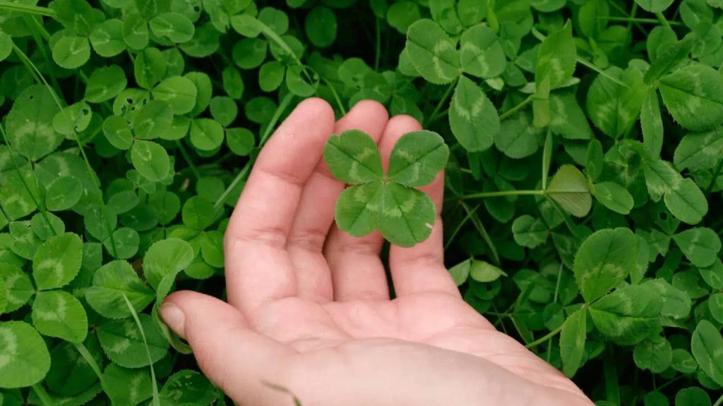 3 signos que terão sorte em dobro e estão prestes a realizar grandes sonhos